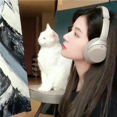忘尘月